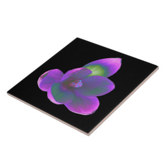 Carreau Carrelage de fleurs de crocus de beauté mystique