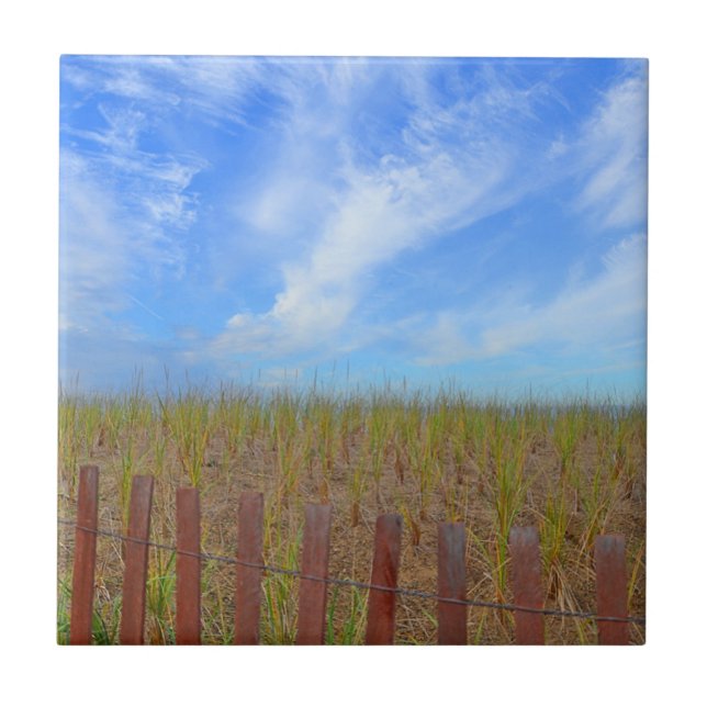 Carreau Carrelage De Plage De Hammonasset (Devant)