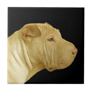 Carreau Carrelage de profil de chien chinois Shar Pei