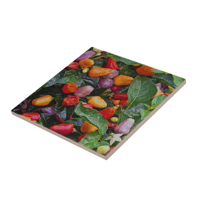 CARREAU "CARRELAGE DÉCORATIF AVEC PEPPERS ORNAMENTAUX COLO (Côté)
