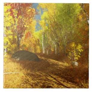 Carreau Carrelage décoratif clair