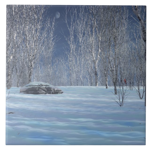 Carreau Carrelage décoratif clair et silencieux (Devant)