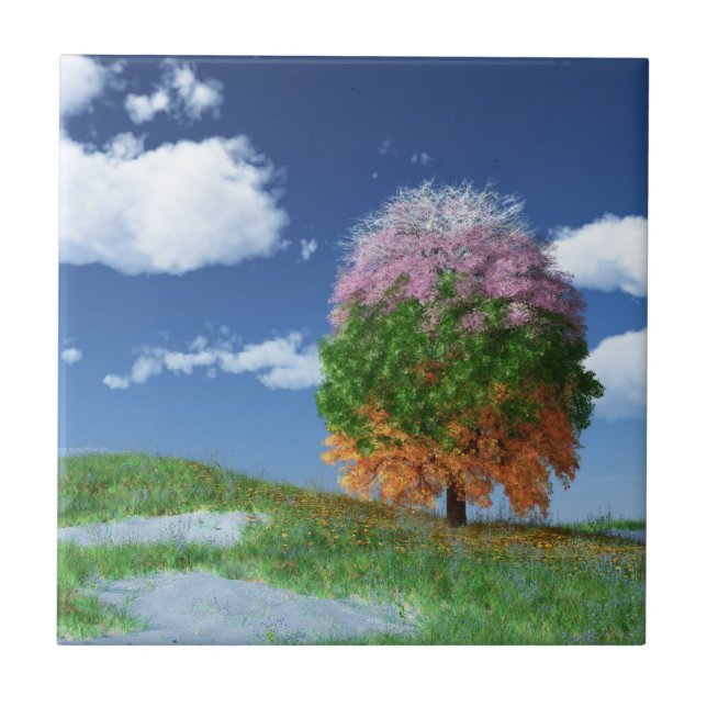 Carreau Carrelage décoratif de l'arbre de saison / Trivet (Devant)