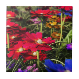 Carreau Carrelage décoratif de printemps Iridescente