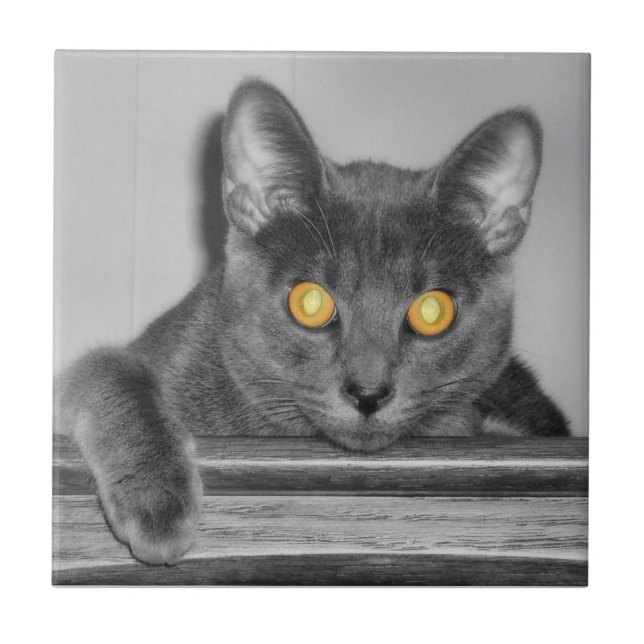 Carreau Carrelage décoratif en or (Devant)