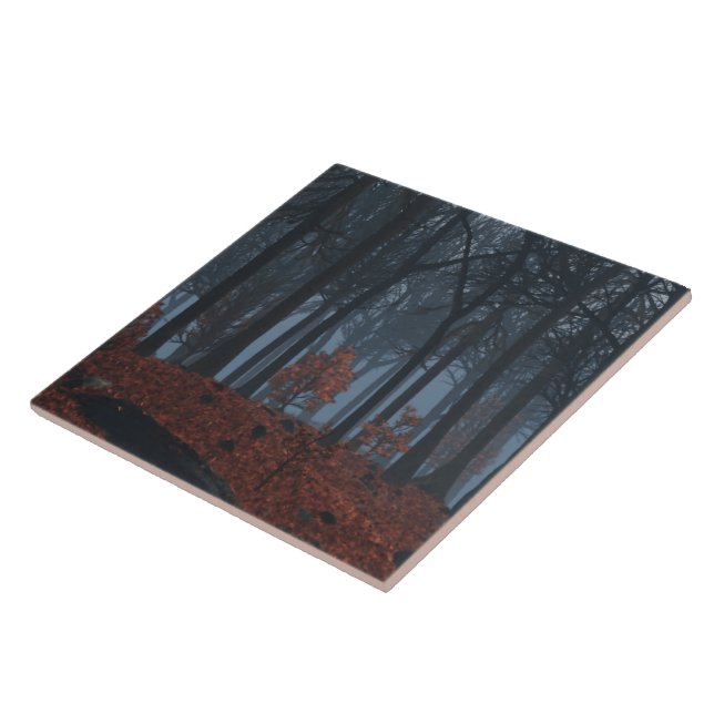 Carreau Carrelage décoratif Feuille d'hiver / Trivet (Côté)