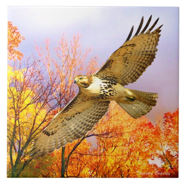 Carreau Carrelage décoratif "High Flyer" (Devant)