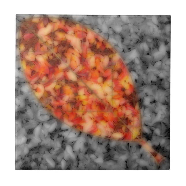 Carreau Carrelage décoratif, ombres lumineuses (Devant)