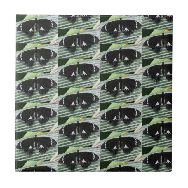 Carreau Carrelage en céramique à papillon noir et blanc (Devant)