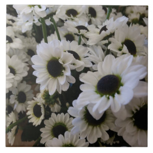 Carreau Carrelage en céramique - Basière noire et blanche