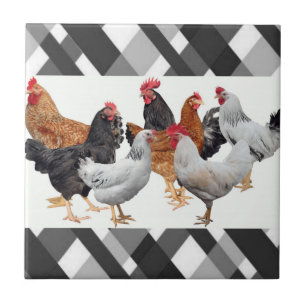 Carreau Carrelage en céramique Blanc Noir Plaid Poulets