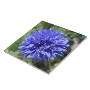 Carreau Carrelage en céramique - Bouton bleu Cornflower Ba