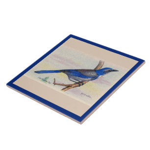 Carreau Carrelage en céramique California Blue Jay Bird