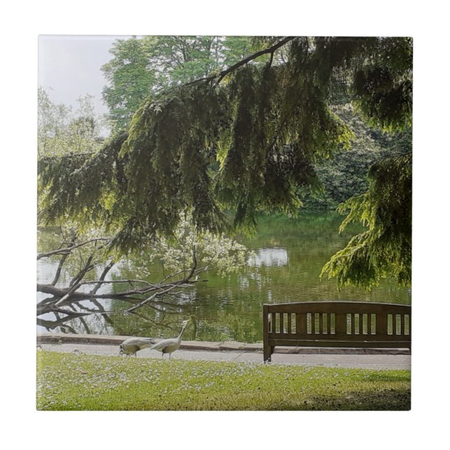 Carreau Carrelage en céramique de canard d'ornement (Devant)