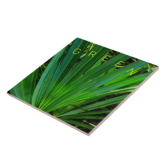 Carreau Carrelage en céramique de palmetto de scie verte (Côté)