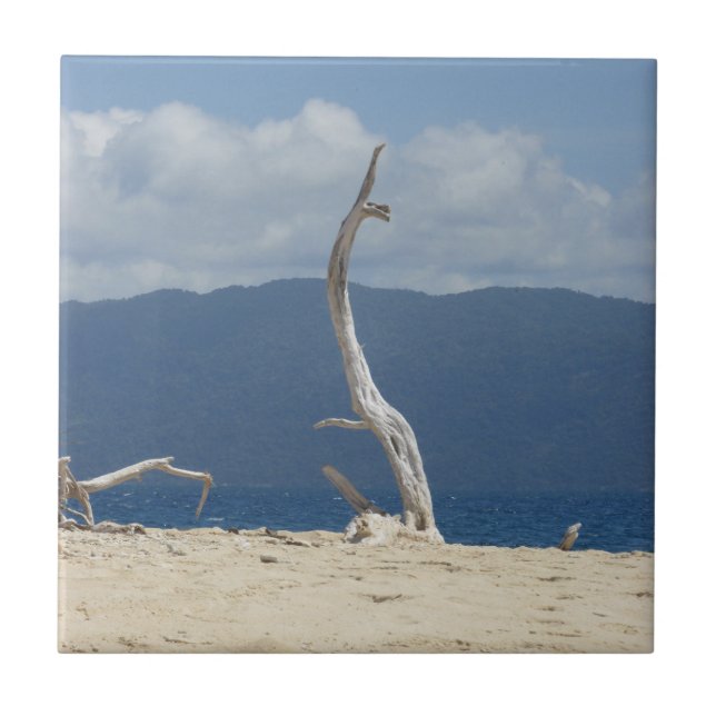 Carreau Carrelage en céramique des îles Frankland (Devant)