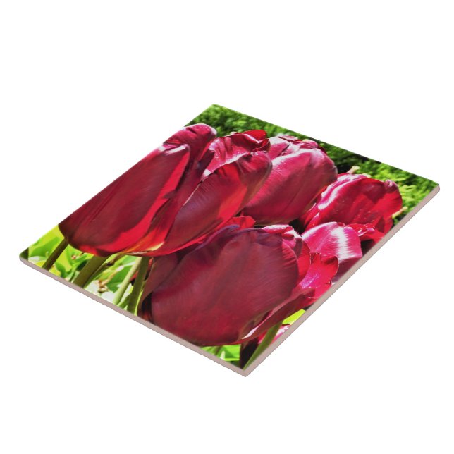 Carreau Carrelage en céramique des Tulipes rouges (Côté)