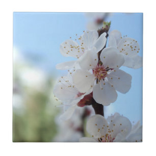 Carreau Carrelage en céramique fleurie