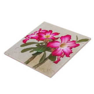 Carreau Carrelage en céramique Fleurs Roses du désert