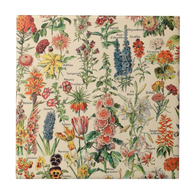 Carreau Carrelage en céramique Fleurs vintages (Devant)