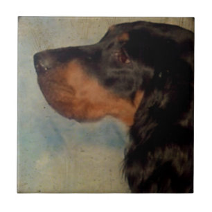 Carreau Carrelage en céramique Gordon Setter