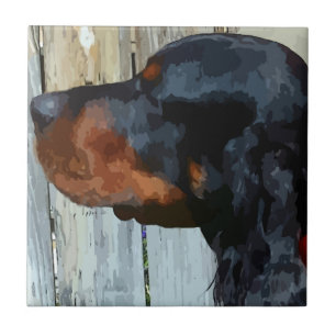 Carreau Carrelage en céramique Gordon Setter