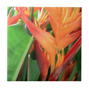 Carreau Carrelage en céramique hibiscus d'Hawaï