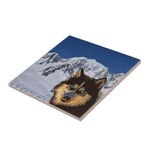 Carreau Carrelage en céramique Husky de Sibérie