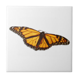 Carreau Carrelage en céramique Monarch Butterfly