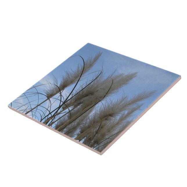 Carreau Carrelage en céramique - Pampas Grass (Côté)