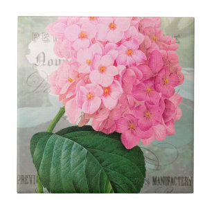 Carreau Carrelage en céramique Redoute Pink Hydrangea