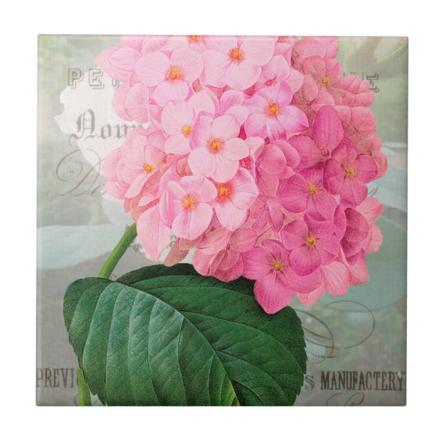 Carreau Carrelage en céramique Redoute Pink Hydrangea (Devant)