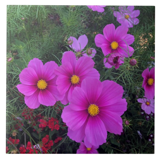Carreau Carrelage en céramique rose et jaune Fleurs margue (Devant)