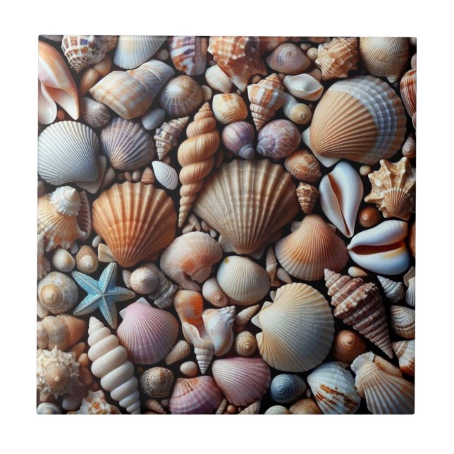 Carreau Carrelage en céramique Sea Shells (Devant)