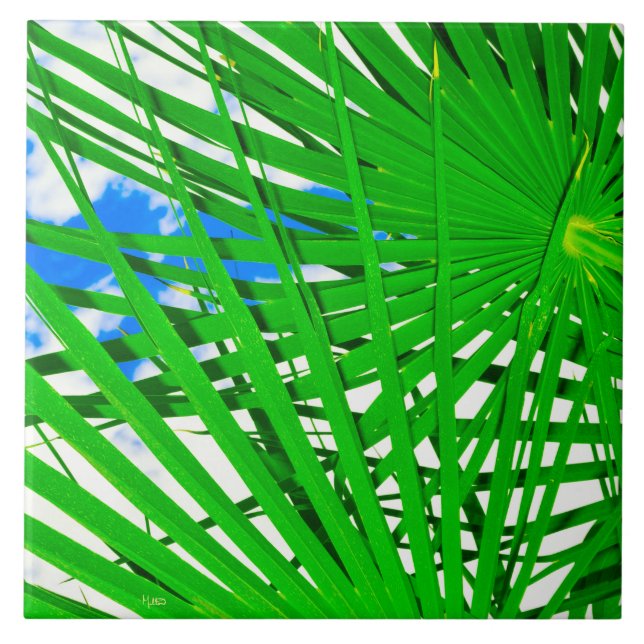 Carreau Carrelage en céramique Sky Palm (Devant)