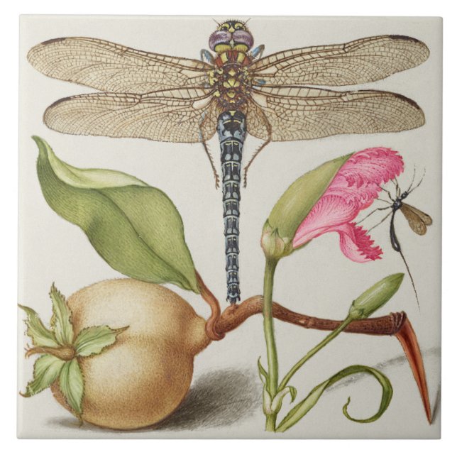 Carreau Carrelage en céramique vintage (Devant)