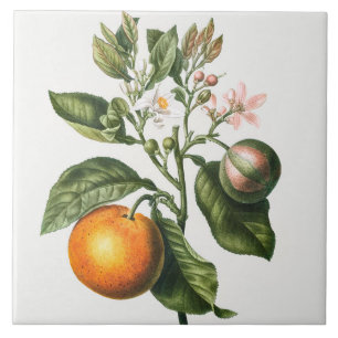 Carreau Carrelage en céramique vintage