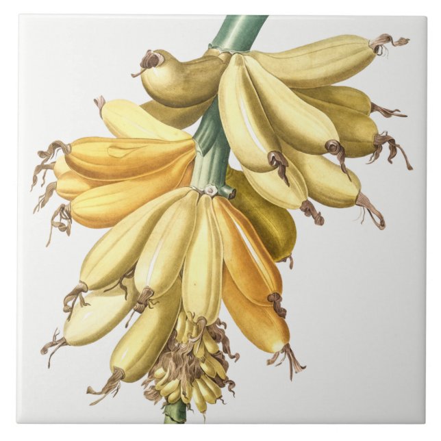 Carreau Carrelage en céramique vintage (Devant)