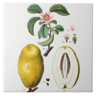 Carreau Carrelage en céramique vintage