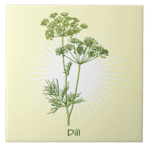 Carreau Carrelage en céramique vintage Dill Herb