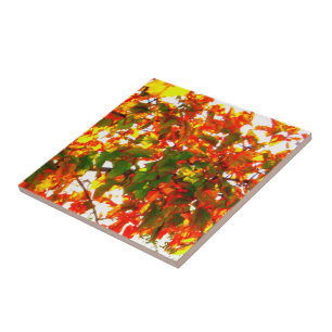 Carreau Carrelage 'feu d'automne'/Trivet