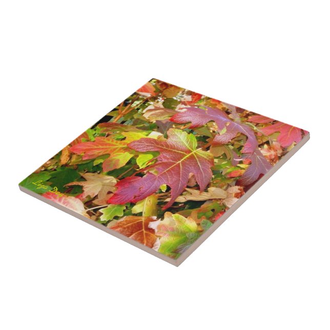 Carreau Carrelage 'Feuilles d'automne'/Trivet (Côté)