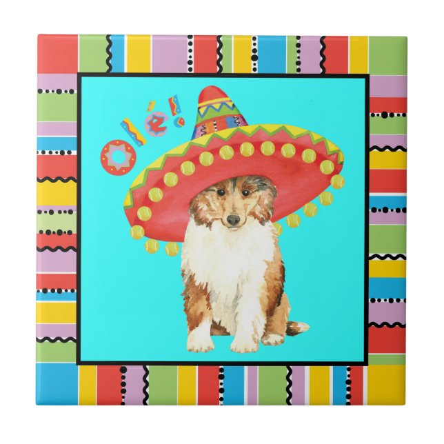 Carreau Carrelage Fiesta Collie (Devant)