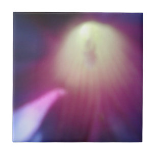 Carreau Carrelage Floral Rose-Violet