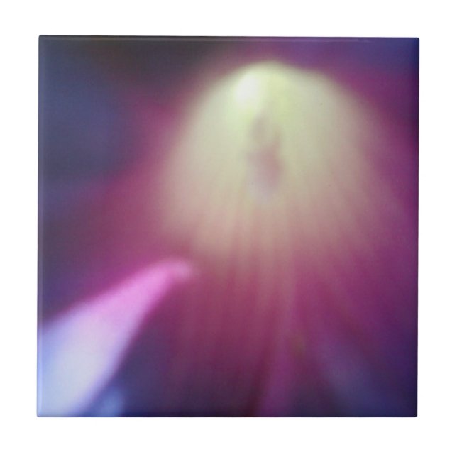 Carreau Carrelage Floral Rose-Violet (Devant)