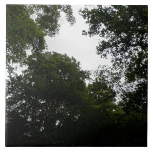 Carreau Carrelage forestier déplaisant