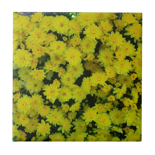 Carreau Carrelage marguerite jaune (Devant)