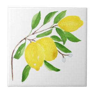 Carreau Carrelage méditerranéen, majolica, style sicilien,