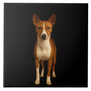 Carreau Carrelage Noir 4 Luxe avec Chien Basenji Classe