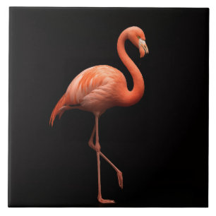 Carreau Carrelage noir 4 Luxe avec Flamant rose rose Oisea